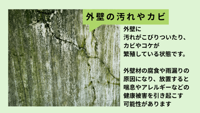 外壁に汚れやカビが付着するとそこから壁を侵食して雨漏りの原因になりやすいです。
日陰や北側の壁面に多く見られます。
早めの発見が望ましいです。