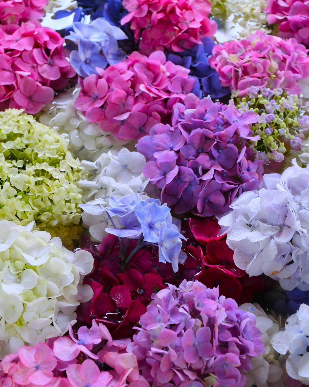 外壁塗装・屋根塗装のカラーシミュレーション